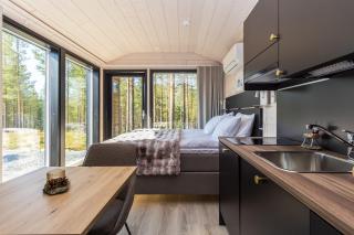 Visit Pyhä Cabins 3 - Pyhätunturi - 7