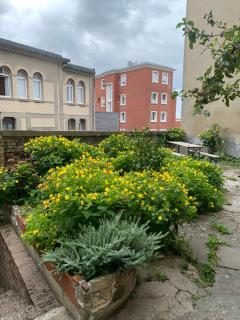 Le maupassant - Le Havre - 8