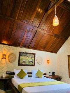 Thori jungle Resort , Chitwan National Park - 9