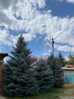 Talas guest house - Talas - 7