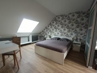 Les caves Sainte Anne - 0