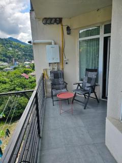 MountainView Gonio - 9