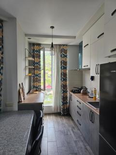 MountainView Gonio - 5