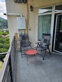 MountainView Gonio - 3