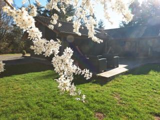 8 person holiday home in Skals-By Traum - 4