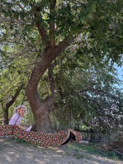 Farm stay - 3