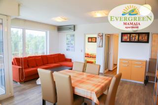 Evergreen Vlas Mamaia Sud - 6