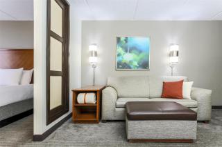 Hyatt Place Fort Worth/Hurst - 5