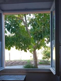 Appartamento Venturina Terme - 6