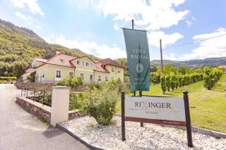 Weingut Rixinger - Spitz - 2