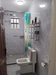Luxury 2 Bedroom apartment - 4