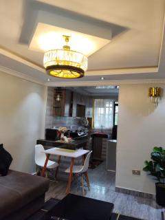 Luxury 2 Bedroom apartment - 7