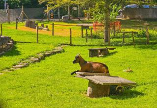 The Old Coach Retreat - 7