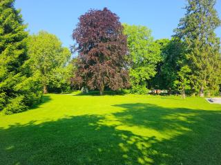 Refugium zur alten Kutsche - 1