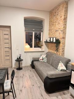 Sleep in history COZY LOFT - Vilnius - 3