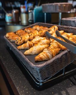 Brit Hotel, Spa & Restaurant - Colmar Est - 7