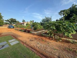 FF Family Farm - 9