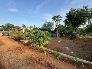 FF Family Farm - 6