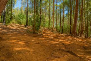 Earth Camping - Ella - Ella - 2