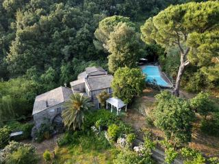 Vecchio Mulino Fontona Girasole - 1