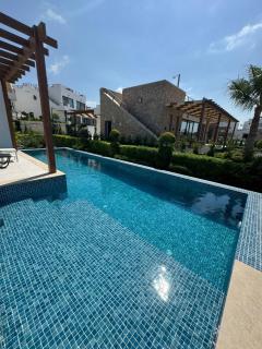 Mykonos Homes Villa - Aglantzia - 2