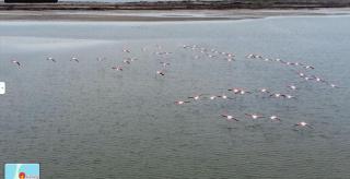 VILLA FAROS Angelochori - 3