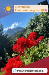 Reitbauernhof Schartner - Altaussee - 9