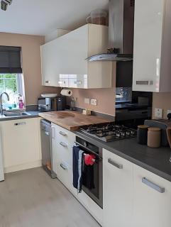 Family and pet friendly relaxed home - Wookey Hole - 3