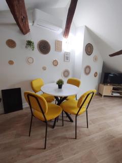 Orléans centre T2 théâtre et cathédrale - 3