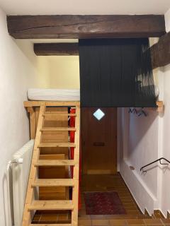 Historische Wohnung im Herzen der Regensburger Altstadt - Ratisbona - 3