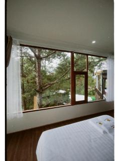 Cloudy Mountain Premium - 2