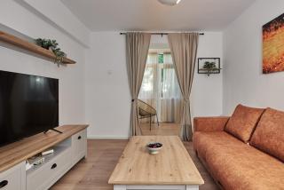 Konstanzer Tudor 3 - 2 camere, bucatarie, masina de spalat - 6