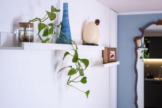 Aquaviva Suite Blu - 1