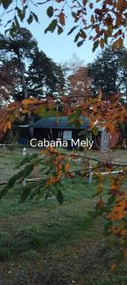 El Rincon de la Olguita - 1