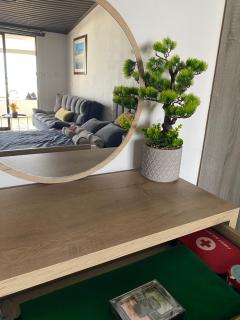 Mackenzie By the sea one bed Ground floor home - 2
