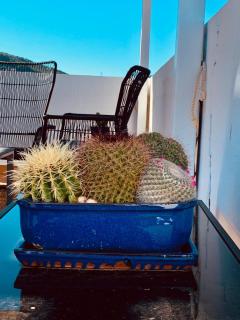 Beautiful penthouse with spectacular views. - 5