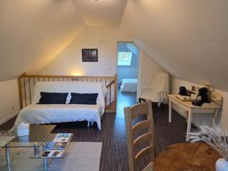 Logement sur la Loire à vélo - Montlouis-sur-Loire - 1