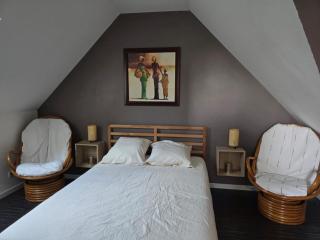 Logement sur la Loire à vélo - Montlouis-sur-Loire - 0