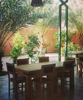 Riad safari camp - 2