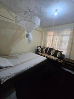 Two bedrooms furnished houses in Mwea - 1