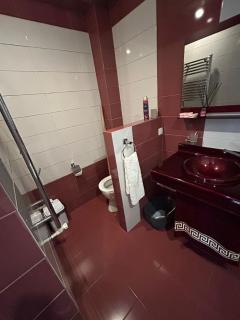 четырехкомнатная квартира в центре города Гюмри - 5