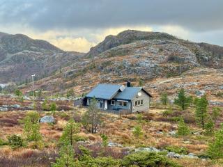 Sjarmerande fjellhytte i Holtaheia - Strand - 0