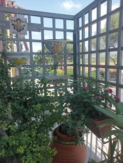 La casa delle api - Paterno - 5
