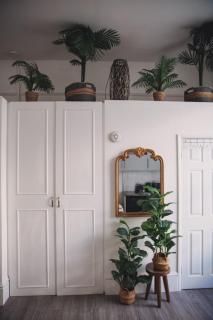 Spacious Studio Flat Paddington - 3