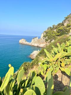 Casa Vacanze - Maison des Poupées - 6