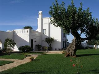 B&B Lamascopone - Fasano - 1