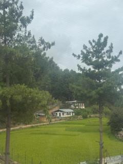 Sompal Serviced Apartment - Paro - 4