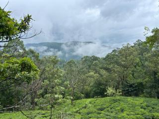 Camellia Lodge Ella - 6