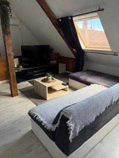 L'Alcôve Alsacienne avec climatisation et terrasse - 9
