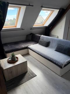 L'Alcôve Alsacienne avec climatisation et terrasse - 8